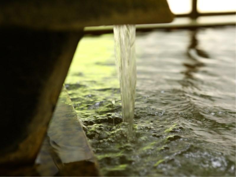 Besshoonsen Nanjyo Ryokan Ueda Dış mekan fotoğraf